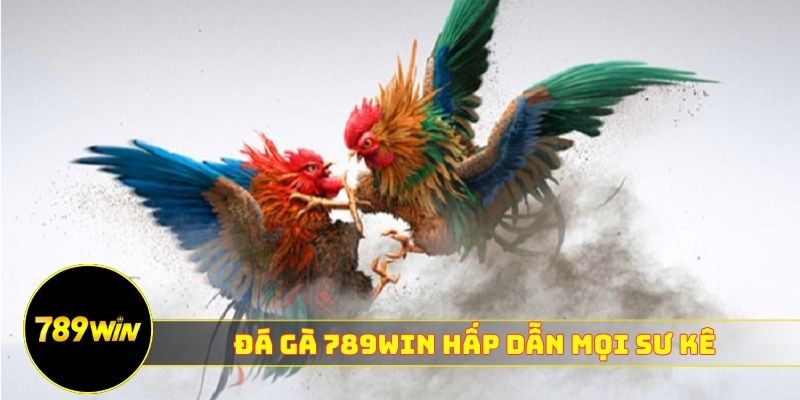 Đá gà 789WIN hấp dẫn mọi sư kê