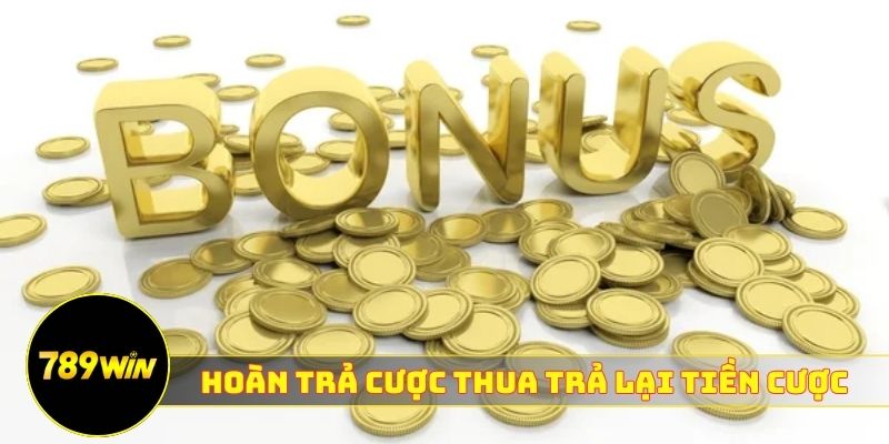 Hoàn trả cược thua 789WIN trả lại tiền cược siêu hấp dẫn