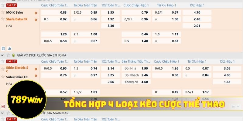 Tổng hợp 4 loại kèo cược thể thao